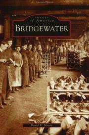 Bridgewater by Moore, David R.
