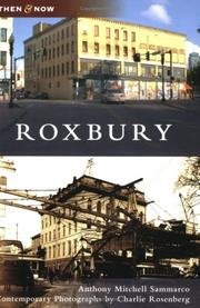 Cover of: Roxbury (MA) (Then and Now)