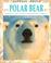 Cover of: Polar Bear
