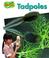 Cover of: Tadpoles (Minipets.)