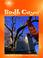 Cover of: Bodh Gaya