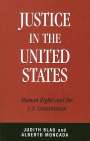 Justice in the United States : human rights and the U.S. constitution