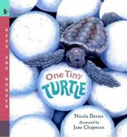 Cover of: One Tiny Turtle (Read & Wonder)