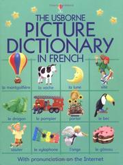 Usborne picture dictionary in French