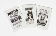 Cover of: Harry Potter: Wanted Posters Pocket Notebook Collection
