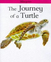 The journey of a turtle