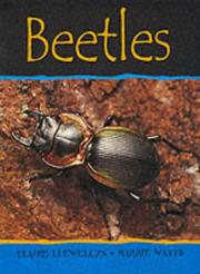 Beetles (Minibeasts) by Claire Llewellyn