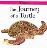 The journey of a turtle