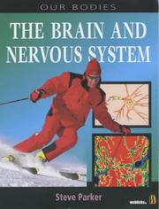 The brain and nervous system