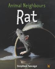 Rat