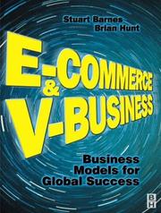 E-commerce and v-business : business models for global success