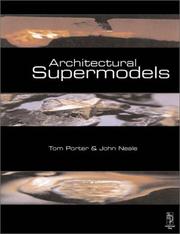 Architectural supermodels : physical design simulation