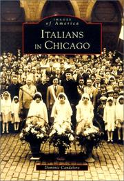 Cover of: Italians in Chicago   (IL)