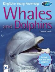 Whales and dolphins