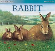 Cover of: Rabbit (Animal Lives)