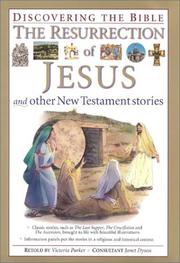 The resurrection of Jesus : and other New Testament stories