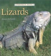 Cover of: Lizards (Perfect Pets)