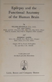 Cover of: Epilepsy and the functional anatomy of the human brain