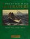 Cover of: Prentice Hall Literature: Timeless Voices, Timeless Themes