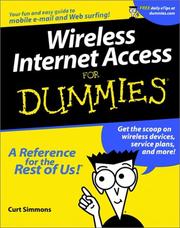 Wireless Internet access for dummies