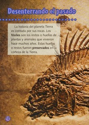 Cover of: Fósiles y las Rocas
