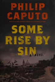 Cover of: Some rise by sin: a novel