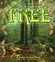 Cover of: The Life Cycle of a Tree (The Life Cycle) by Bobbie Kalman, Kathryn Smithyman