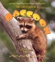 Cover of: The Life Cycle of a Raccoon (The Life Cycle, 12) by John Crossingham, Bobbie Kalman, Kalman