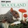 Cover of: Woodland (Look Closer)