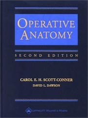 Operative anatomy