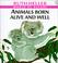 Cover of: Animals Born Alive and Well (Ruth Heller's World of Nature)