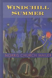 Cover of: Windchill summer