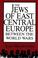 Cover of: The Jews of East Central Europe Between the World Wars (A Midland Book)