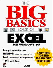 Cover of: The big basics book of Excel for Windows 95