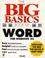 Cover of: The big basics book of Word for Windows 95