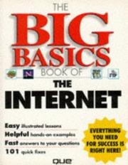 Cover of: The big basics book of the Internet by by Joe Kraynak ... [et al.].