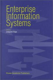 Enterprise information systems