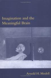 Cover of: Imagination and the Meaningful Brain (Philosophical Psychopathology)