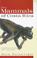 Cover of: The Mammals of Costa Rica