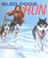 Cover of: Sled Dogs Run