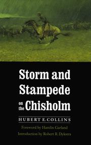 Storm and stampede on the Chisholm by Hubert E. Collins