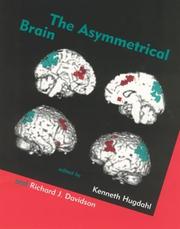 Cover of: The Asymmetrical Brain (Bradford Books)