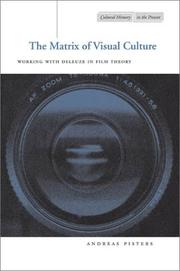 The matrix of visual culture by Patricia Pisters