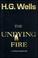 Cover of: The undying fire