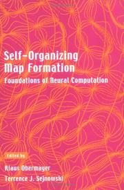 Self-organizing map formation : foundations of neural computation