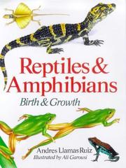 Cover of: Reptiles & amphibians by Andrés Llamas Ruiz
