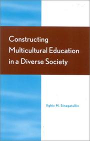 Cover of: Constructing Multicultural Education in a Diverse Society | Ilghiz M. Sinagatullin