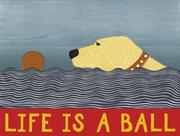 Cover of: Stephen Huneck Life's a Ball: An Abrams Notefolio
