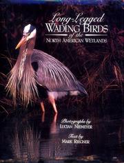 Cover of: Long-legged wading birds of the North American wetlands