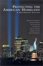 Cover of: Protecting the American Homeland: A Preliminary Analysis
